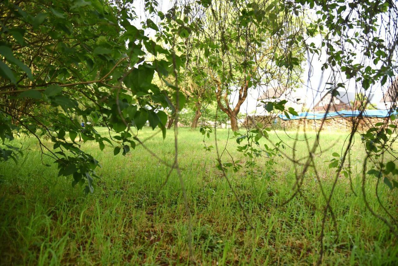 Ferienhaus Biene Wartin Luaran gambar