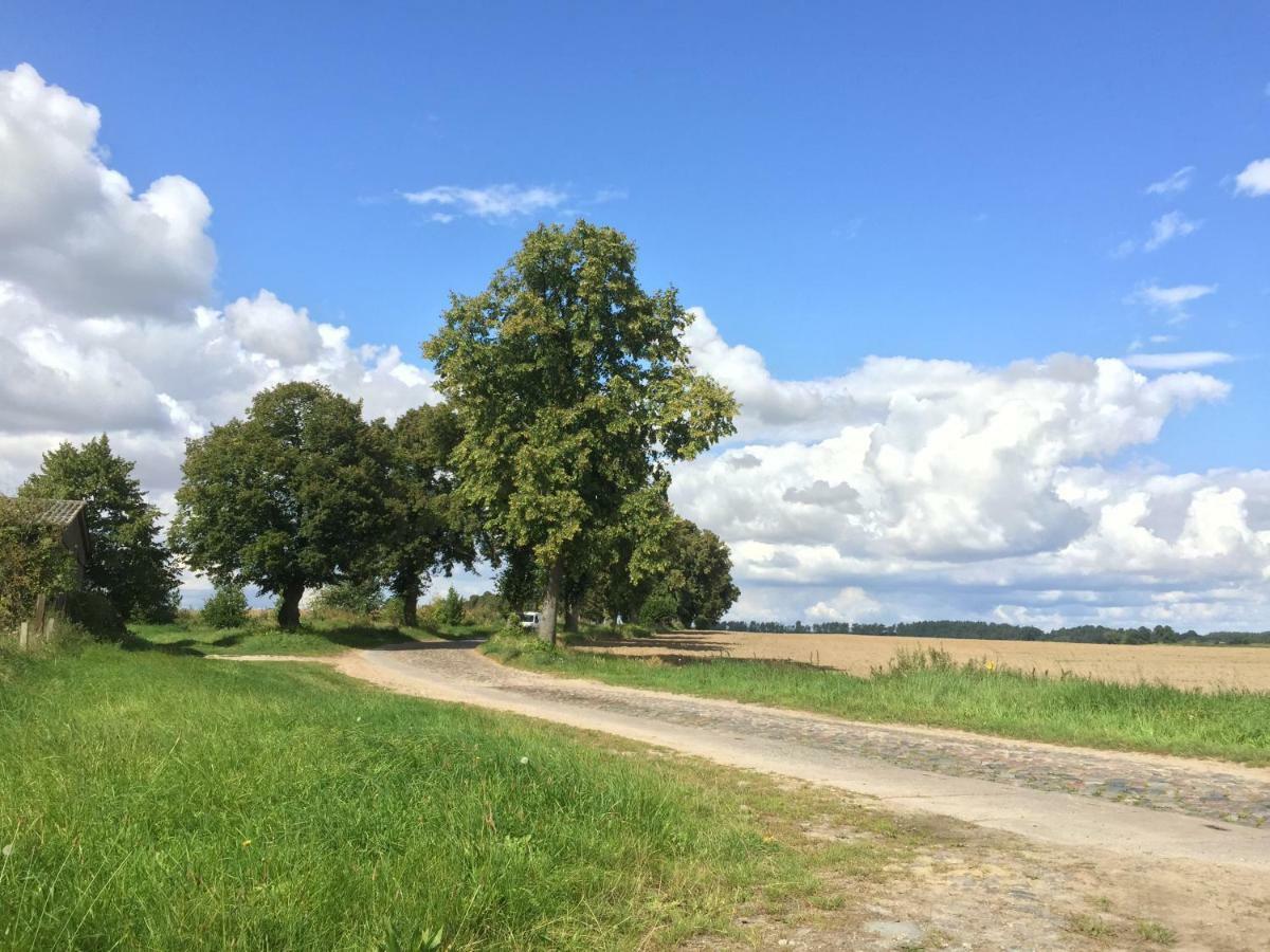Ferienhaus Biene Wartin Luaran gambar